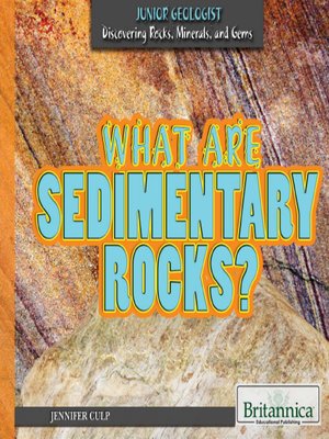 cover image of What Are Sedimentary Rocks?